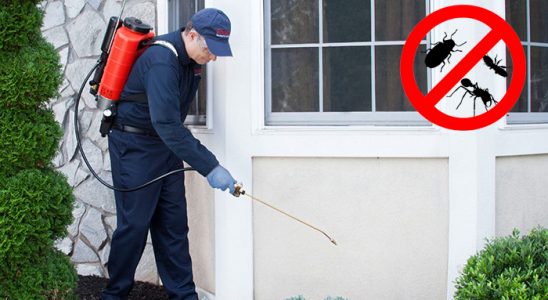 Halkapınar Akrep İlaçlama böcek ilaçlama ve haşere kontrolü — ilaclama-tr.com